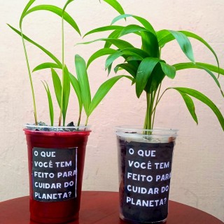 Cuide do Meio Ambiente